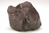 Chondrite Meteorite ( g) - Western Sahara Desert #208147-1